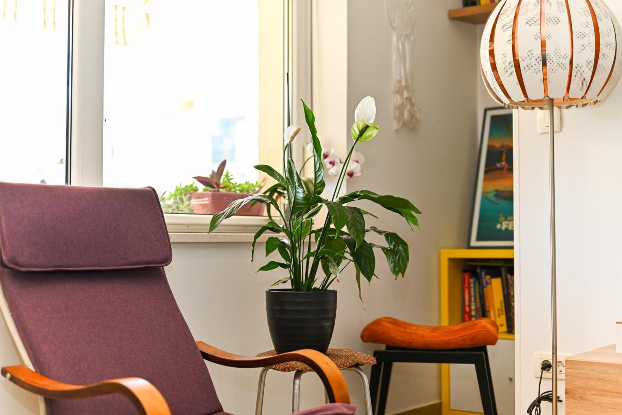 Appartement Mares *